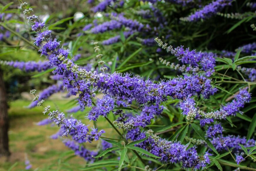 Marina Krisenko/shutterstock.com