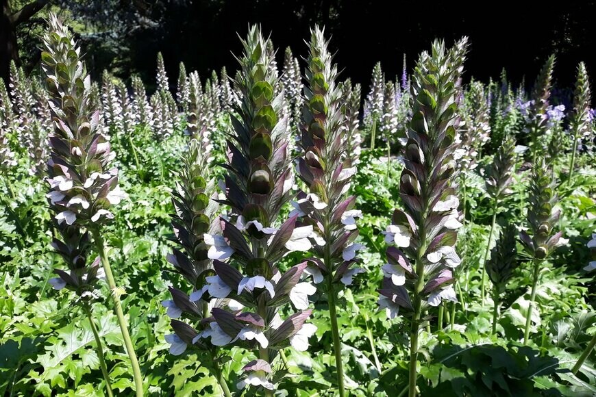 Gabriela Beres/Shutterstock.com