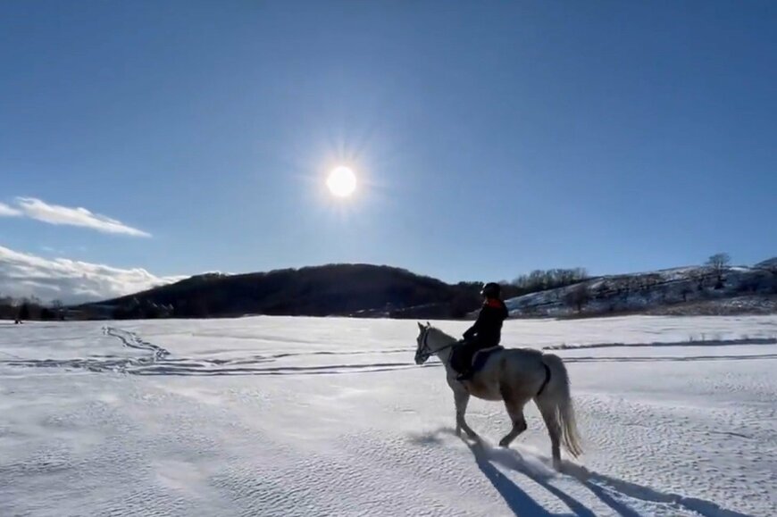 出所：うらかわ優駿ビレッジAERUツイッターアカウント