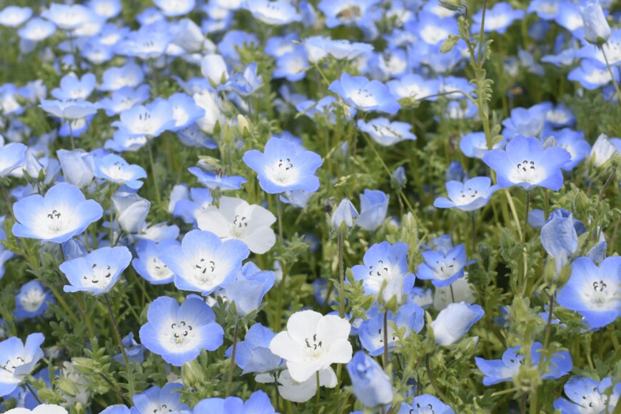 hareusagi/shutterstock.com