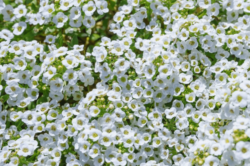 dar_st/istockphoto.com