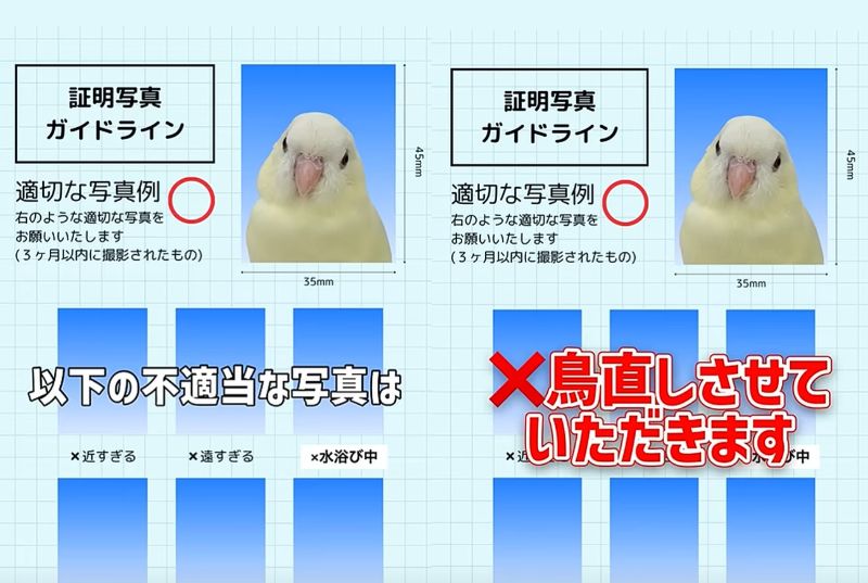 出所：@anz_omomiri