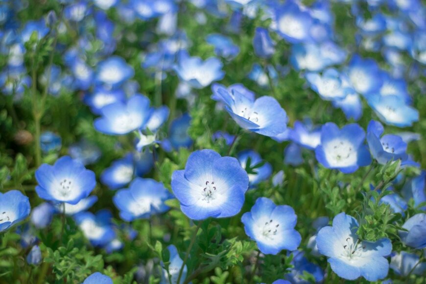 yumehana/istockphoto.com