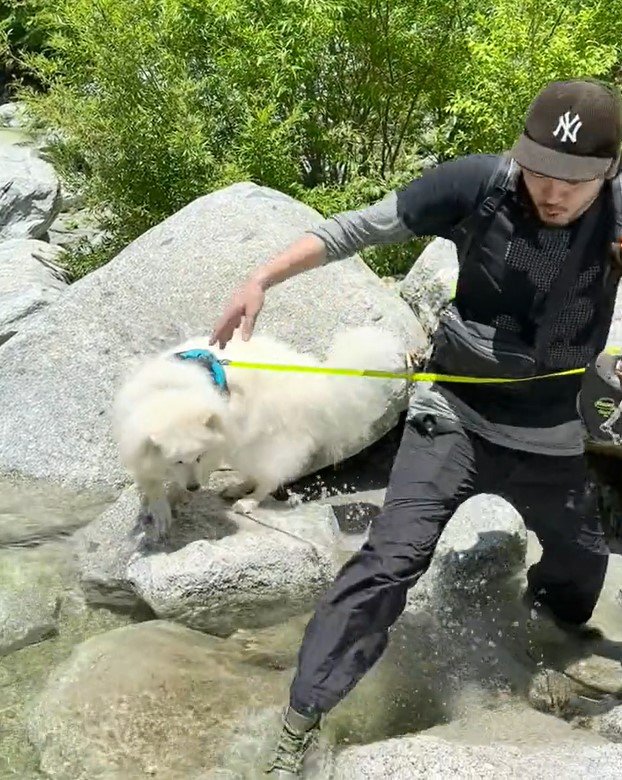 出所：@samoedsoran