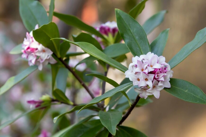 c11yg/istockphoto.com