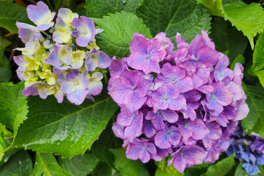 hellou84/shutterstock.com