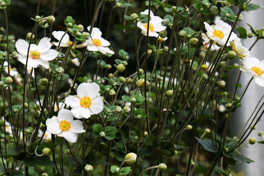 undefined undefined/istockphoto.com