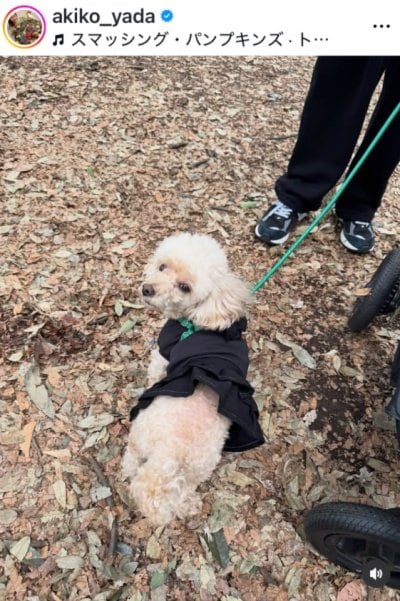 出所：矢田亜希子のInstagram（＠akiko_yada）参照日：2026年4月9日