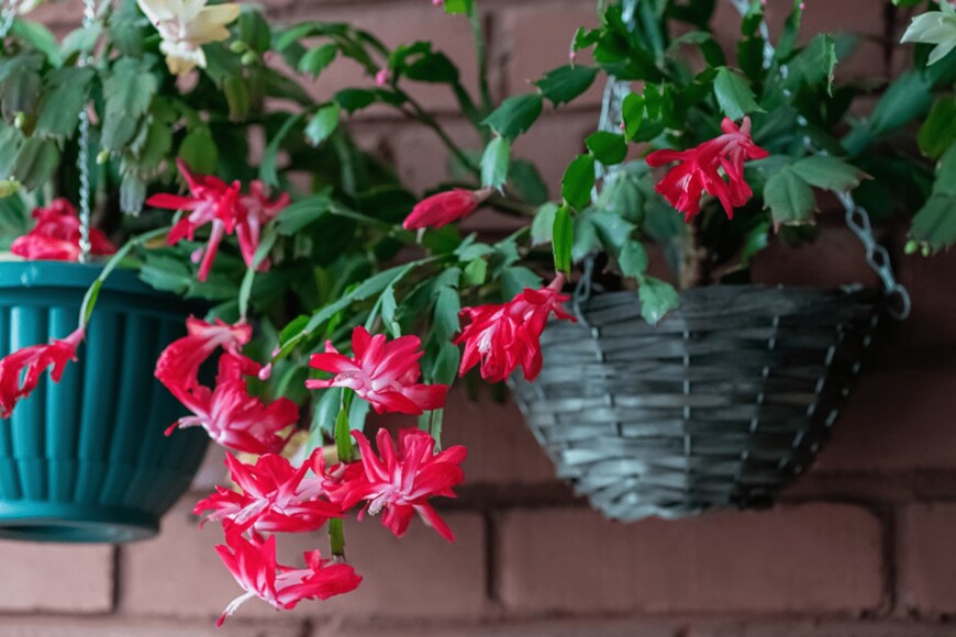 Olga Chetvergova/istockphoto.com