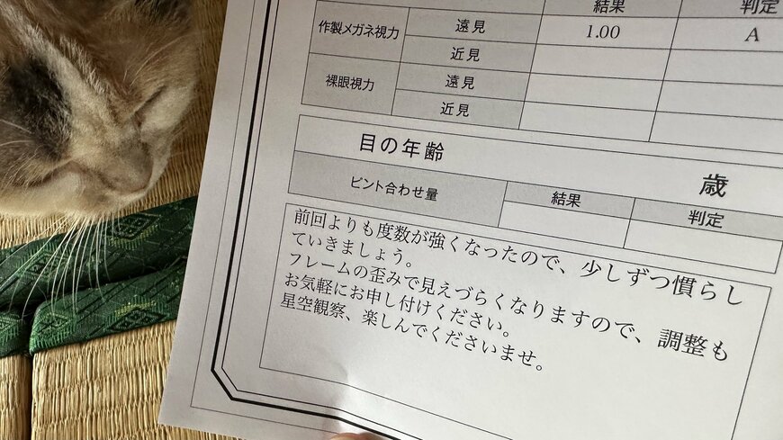 検査結果に書かれたコメント