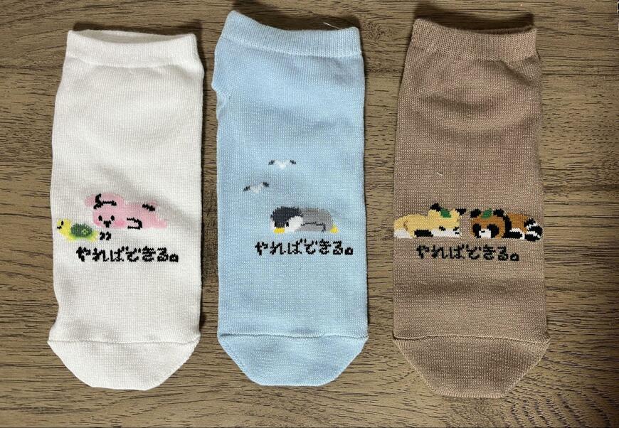 セリア、レディースショート丈 やればできる商品画像