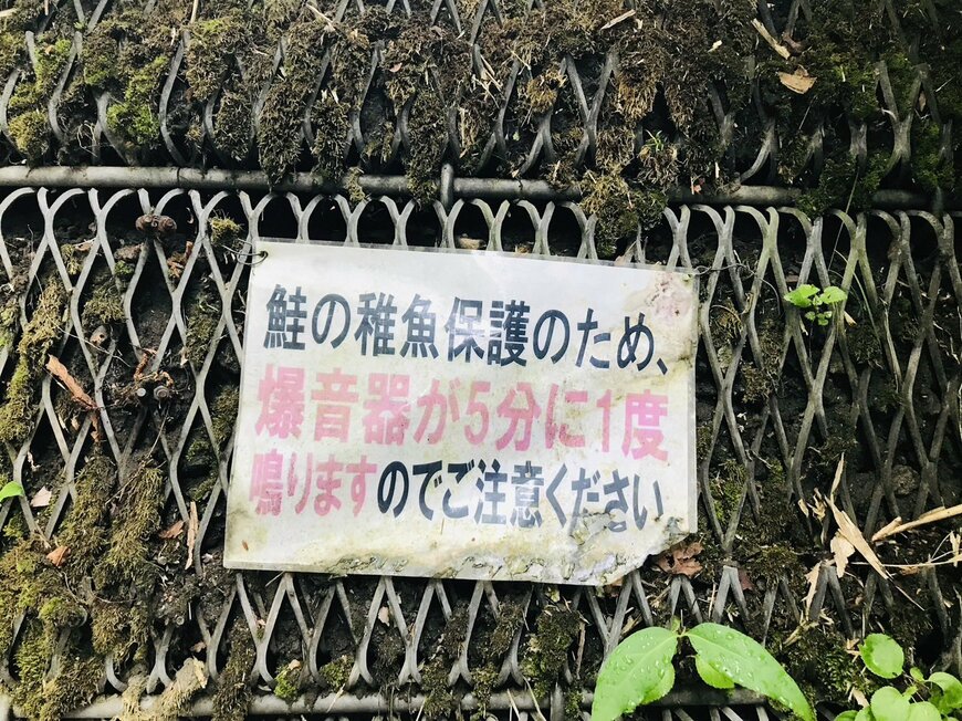 公園で発見した注意書きの内容