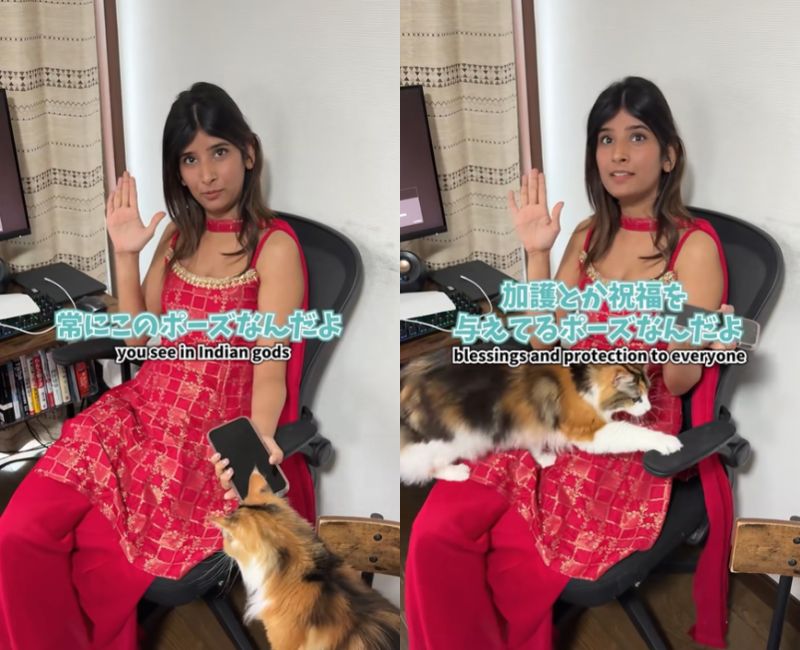 投稿動画のワンシーン