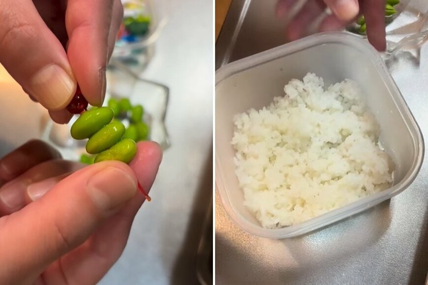 投稿の画像