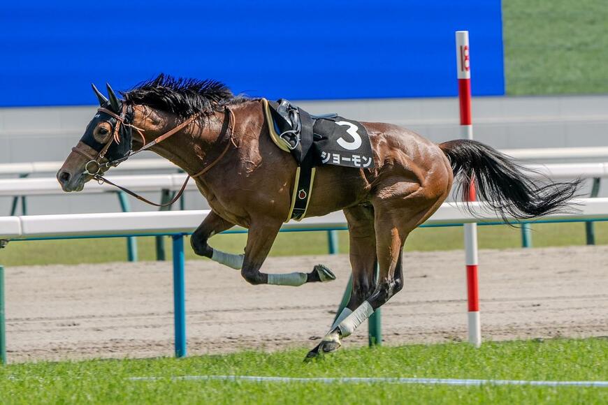 放馬してしまったショーモン