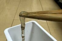 釣り針についてきた「ニュルニュルとしたもの」　その後、誕生した生物に思わず目を疑う