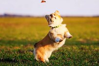 「脱・老後破産」70代の貯金いくらあるのが普通か