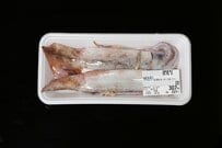 スーパーで購入した「イカ」をしばらく放置　「とんでもない変化」に思わず目を疑う