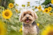 65歳以上の「おひとりさま世帯」は32.7％で過去最多に…年金だけじゃ生活できない？！おひとりさまシニア世帯のリアルな「収入と支出」