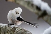 【年金一覧表】70歳代vs80歳代「年金平均額」が高いのはどっちか「最新統計」