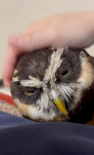 投稿動画のワンシーン