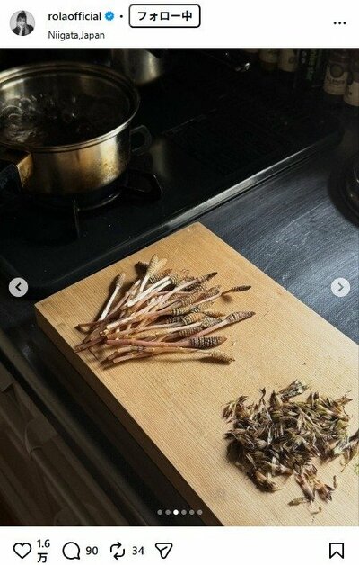 ローラのInstagram投稿