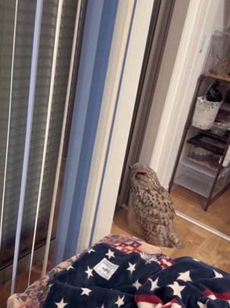 投稿動画のワンシーン