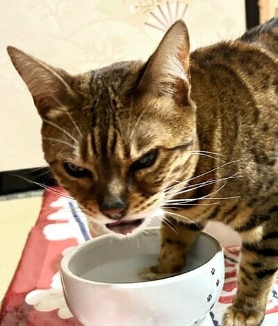 「み～た～な～」