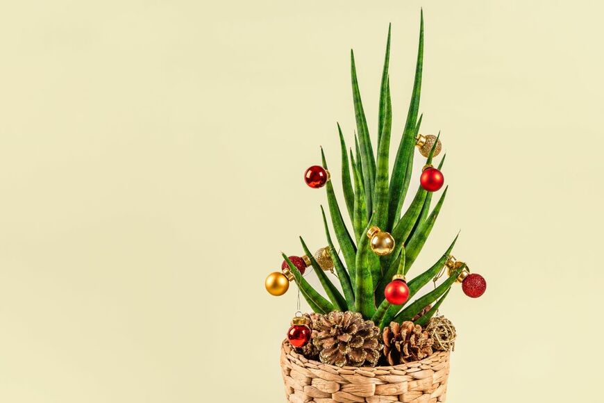 Ivanova Ksenia/shutterstock.com