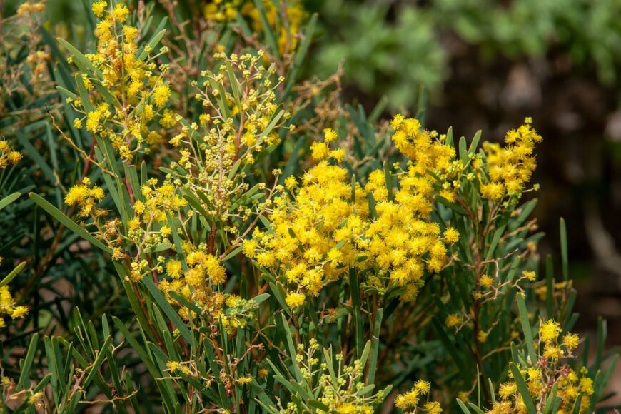 demamiel62/shutterstock.com