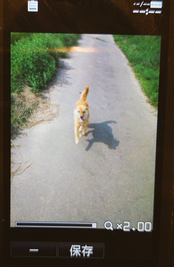 出所：@NINGENandAIKEN