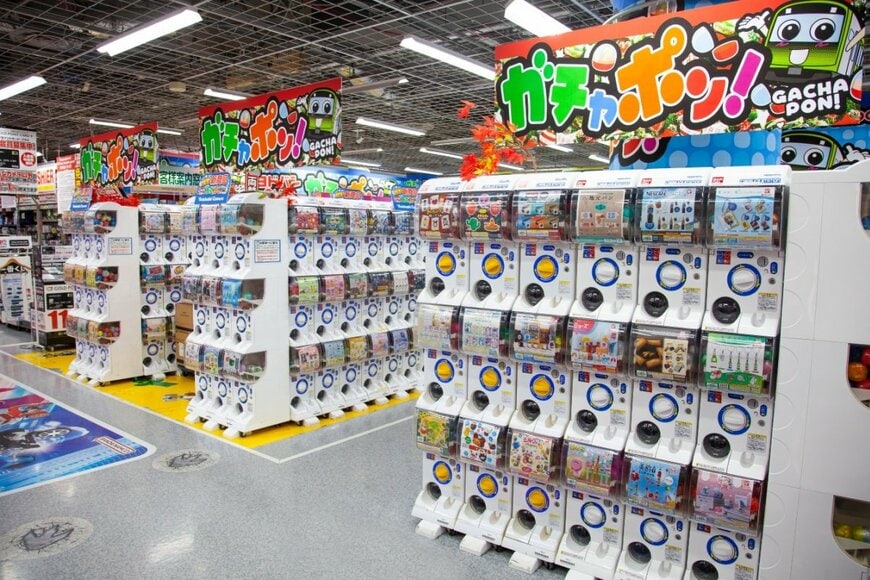 LilyRosePhotos/shutterstock.com