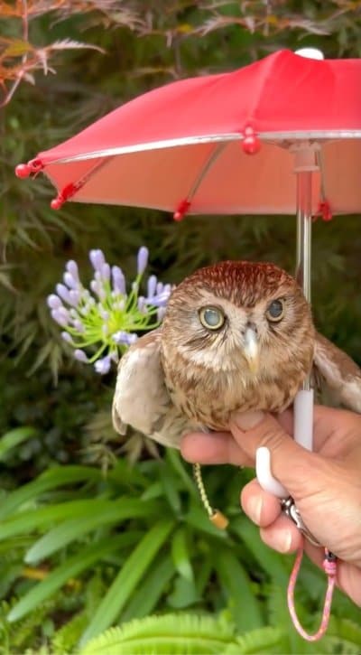 出所：@cr8673.hiro