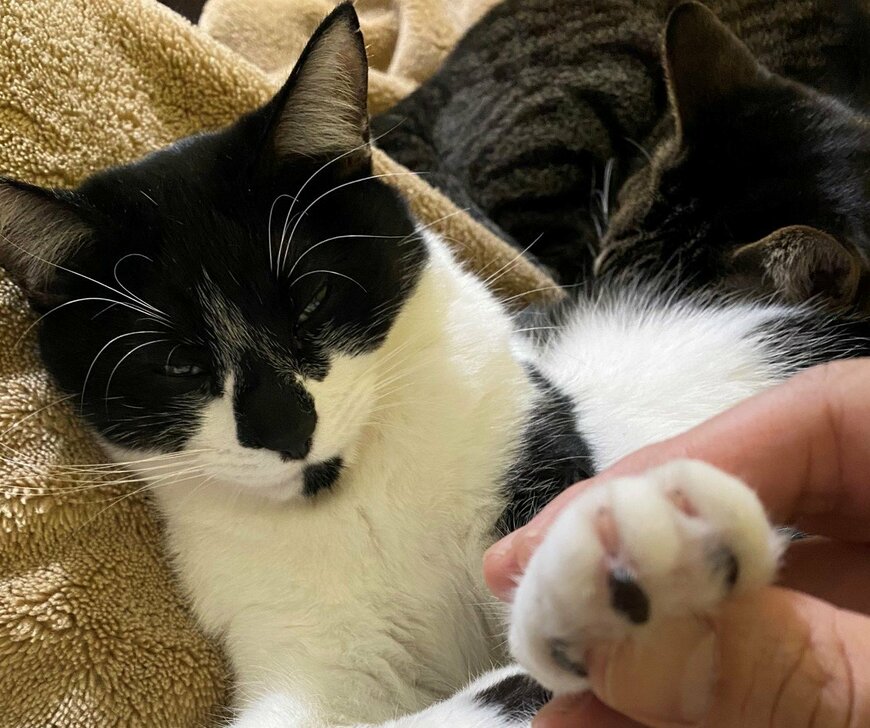 出所：@00shitemita