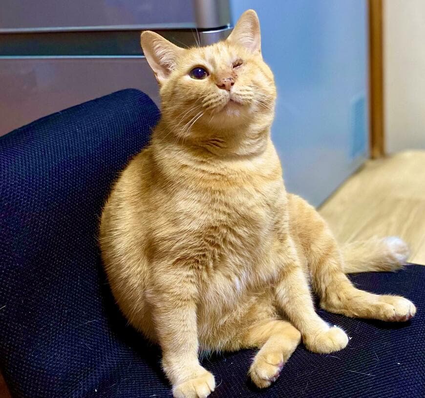 出所：@luna7taka9