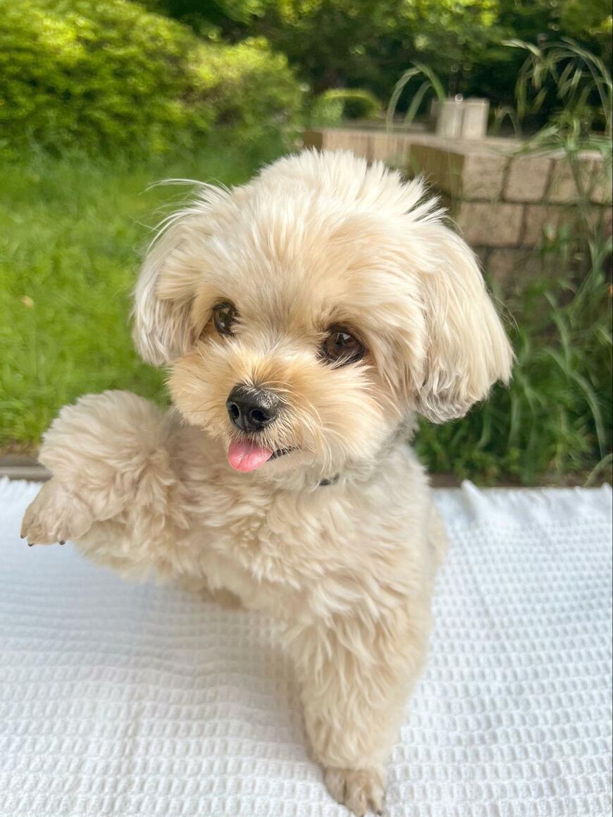 出所：@potage_0924