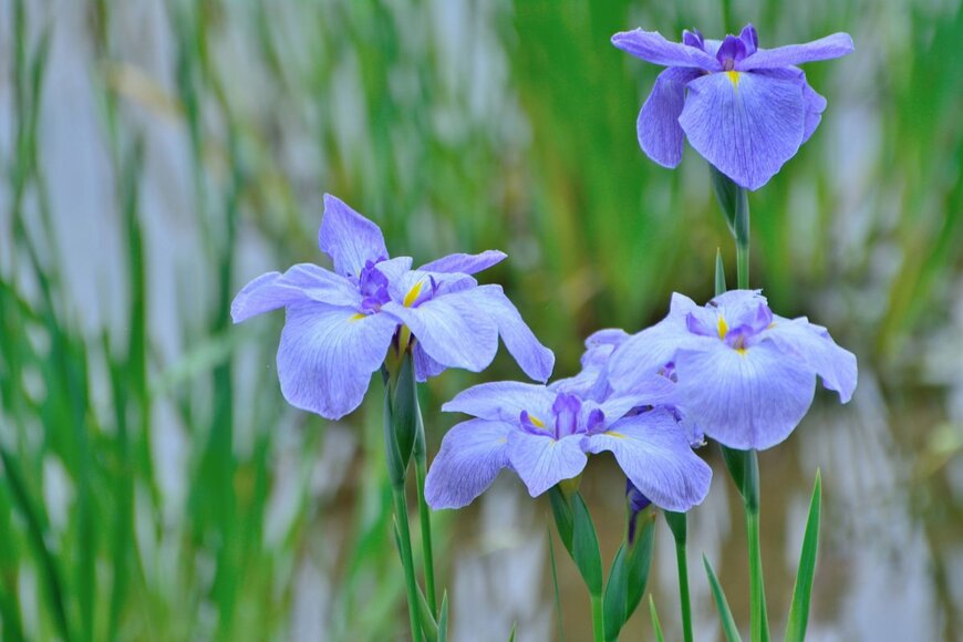 High Mountain/shutterstock.com