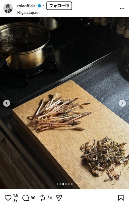 出所：ローラのInstagram（＠rolaofficial）　参照日：2026年4月3日