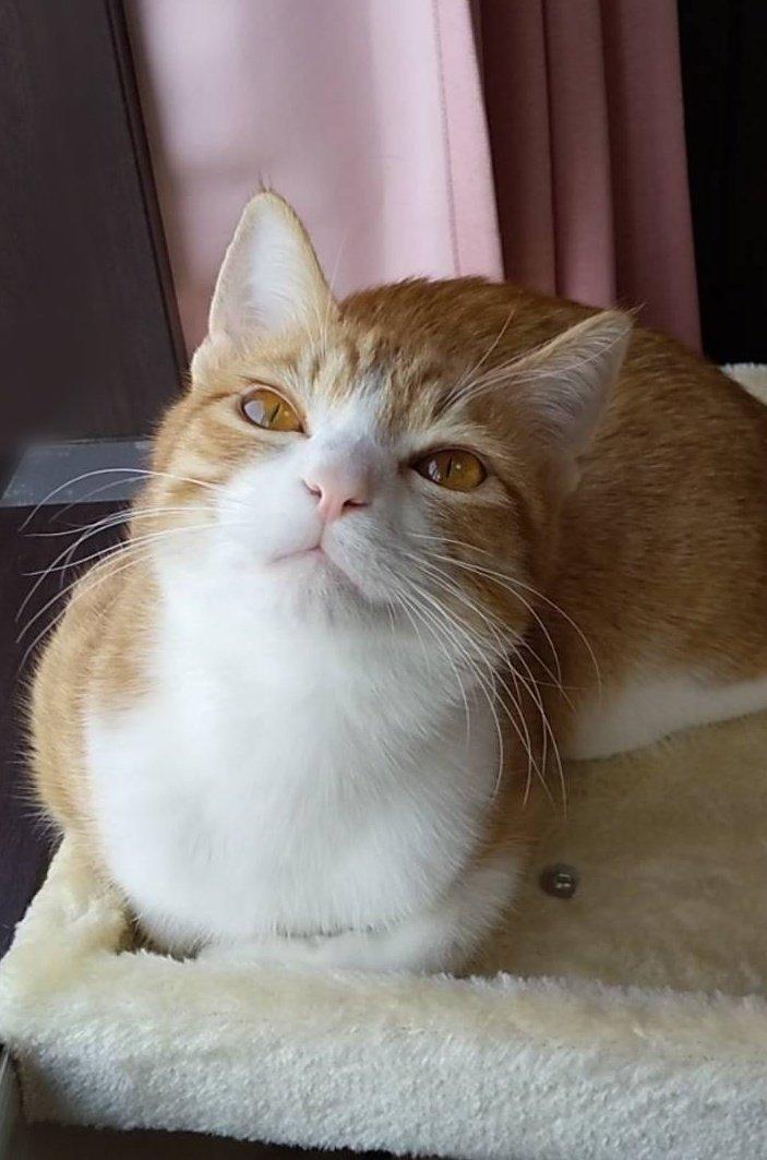 出所：@mero627puri914