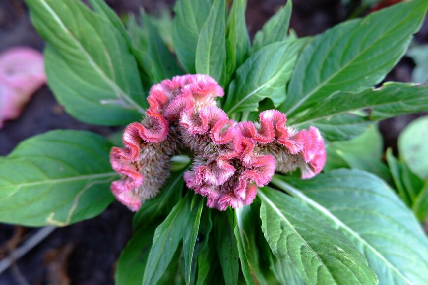 Olga Kazakova/istockphoto.com