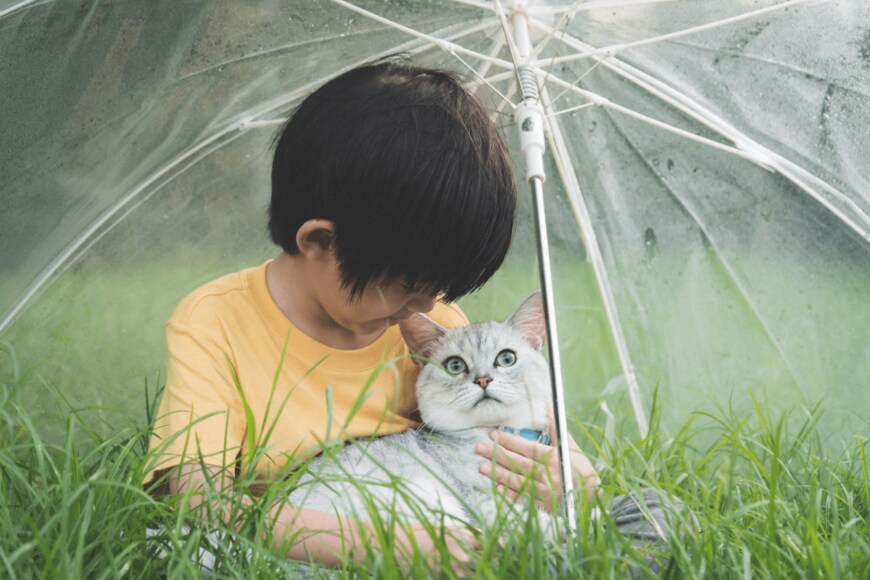 ANURAK PONGPATIMET/shutterstock.com