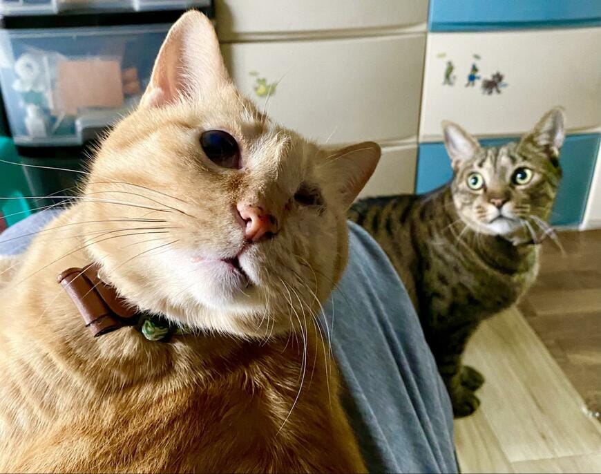 出所：@luna7taka9