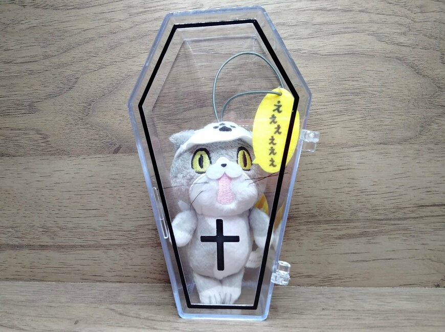 筆者撮影（セリア、ハロウィン 棺型クリア小物入れ）