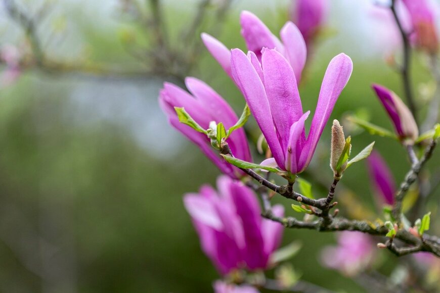 SMarina/istockphoto.com