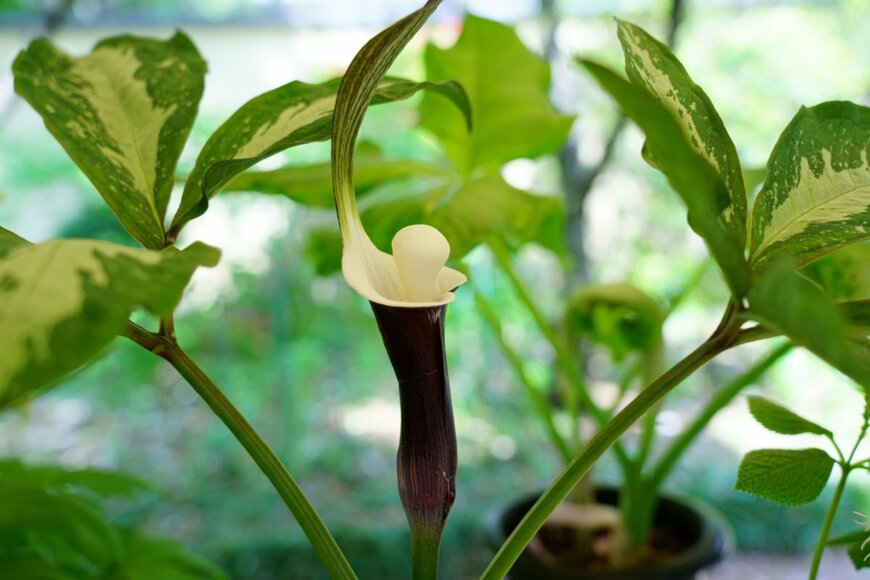 High Mountain/shutterstock.com