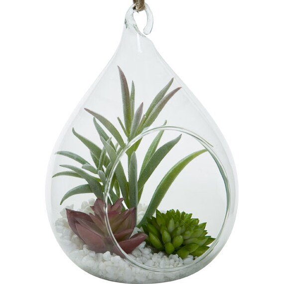出所：ニトリ公式通販ニトリネット フェイクグリーン ハンギングテラリウム ガラス容器(多肉 HA31697)