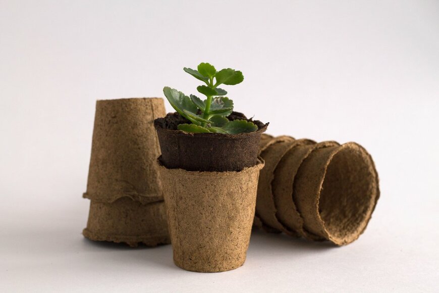 Tatiana Yashina/shutterstock.com