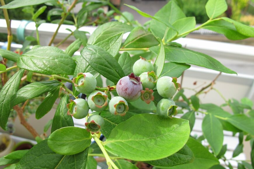 Heike Rau/shutterstock.com