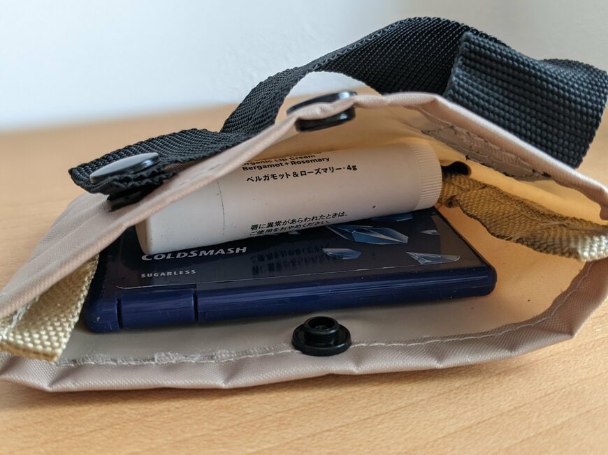 著者撮影（2WAY バッグインポーチ）