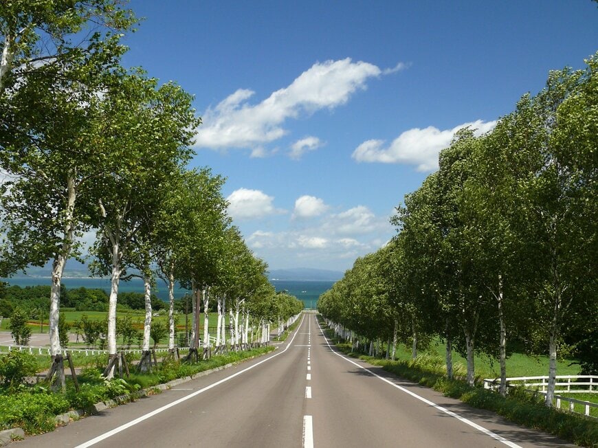 写真提供：八雲町